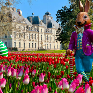 LE 2 AVRIL 2026 : CHEVERNY ET LA FETE DES TULIPES