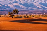 SUD MAROC 8J/7N DU 15 AU 22 MARS 2026