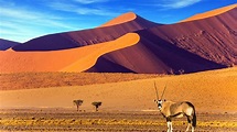 NAMIBIE  12 JOURS / 9 NUITS – Dates probables entre le 10 et le 31/10/2026 mais non connues à ce jour