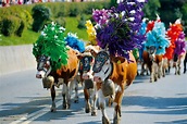 LE TYROL ET SA TRANSHUMANCE  6 JOURS / 5 NUITS - DU 17 AU 22/09/2026